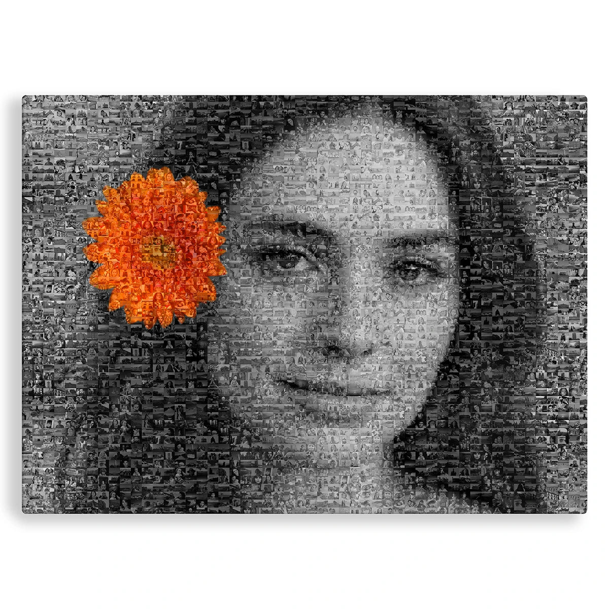 Images mosaïque "color touch" - Studio Pop Art